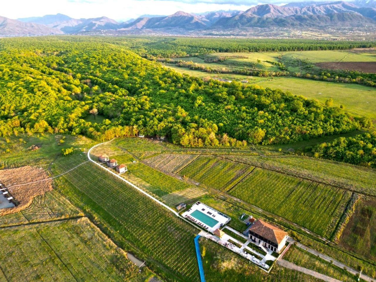 Chateau Vartsikhe Εξωτερικό φωτογραφία