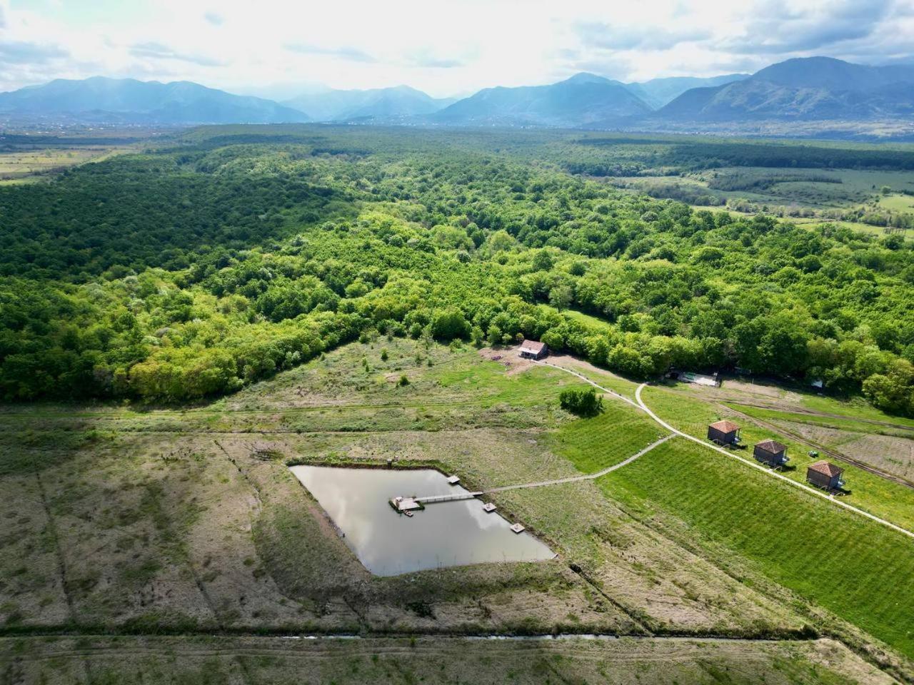Chateau Vartsikhe Εξωτερικό φωτογραφία