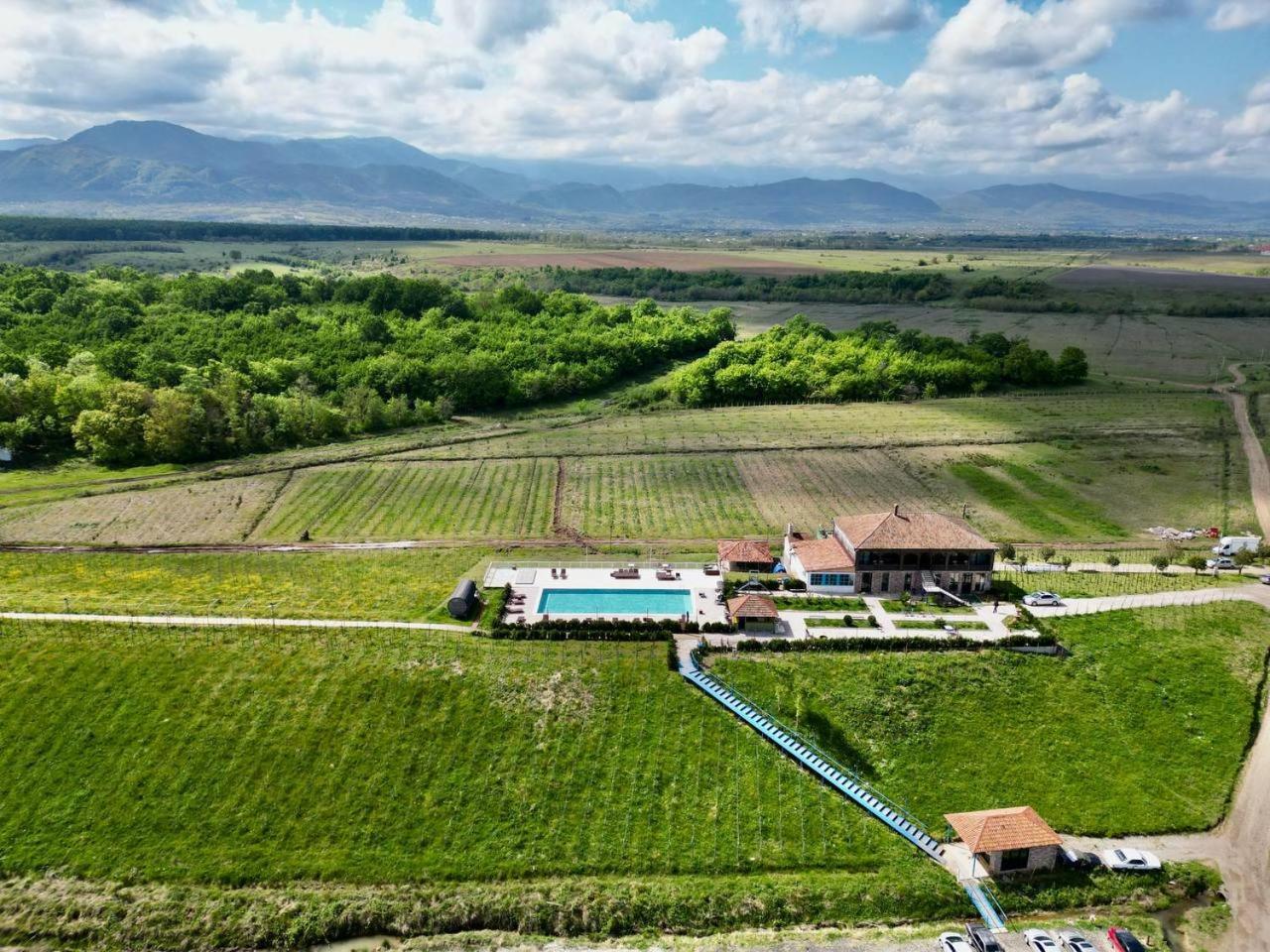 Chateau Vartsikhe Εξωτερικό φωτογραφία