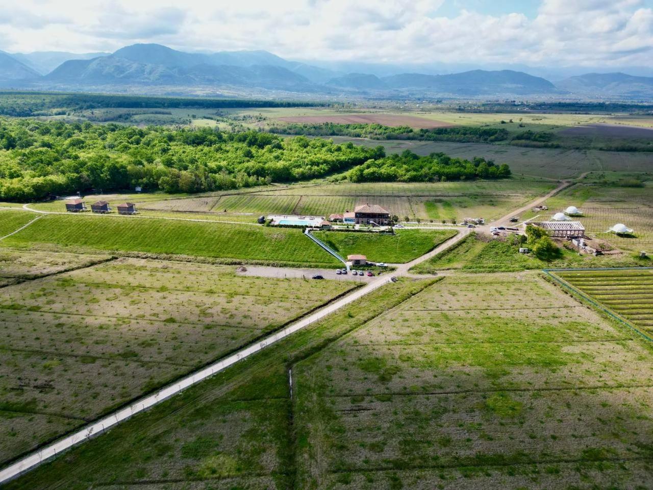 Chateau Vartsikhe Εξωτερικό φωτογραφία