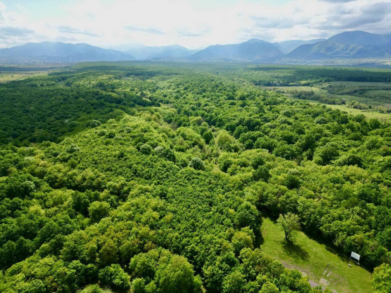 Chateau Vartsikhe Εξωτερικό φωτογραφία